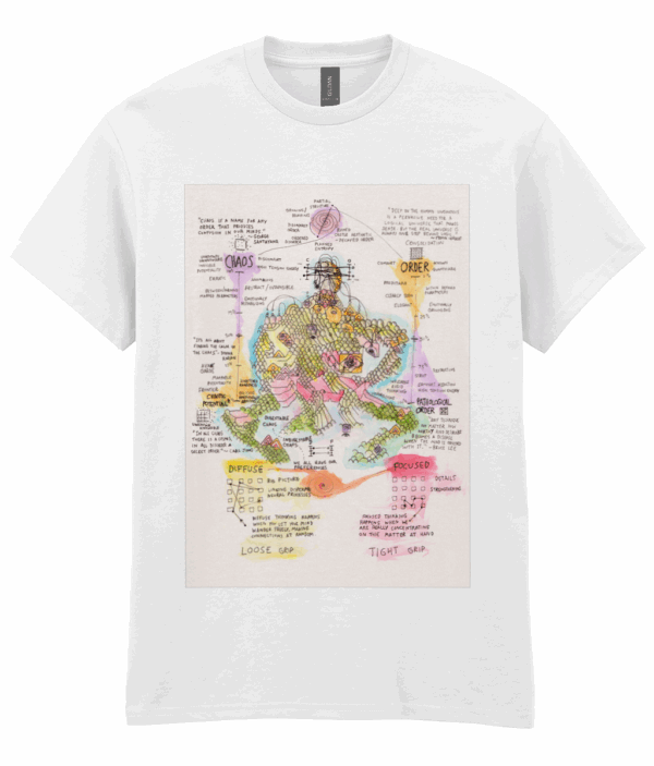 Gildan Heavy Cotton 'Chaos order scale' T-Shirt